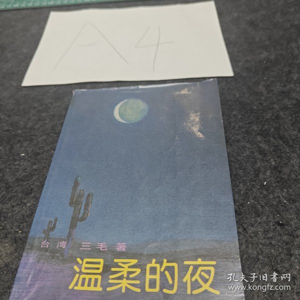 沙漠中的文学之旅，三毛温柔的夜txt下载