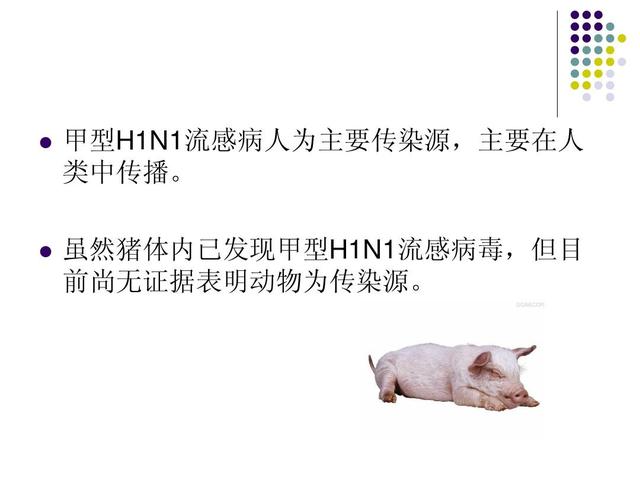 H1N1流感最新症状消息（2017年概览）