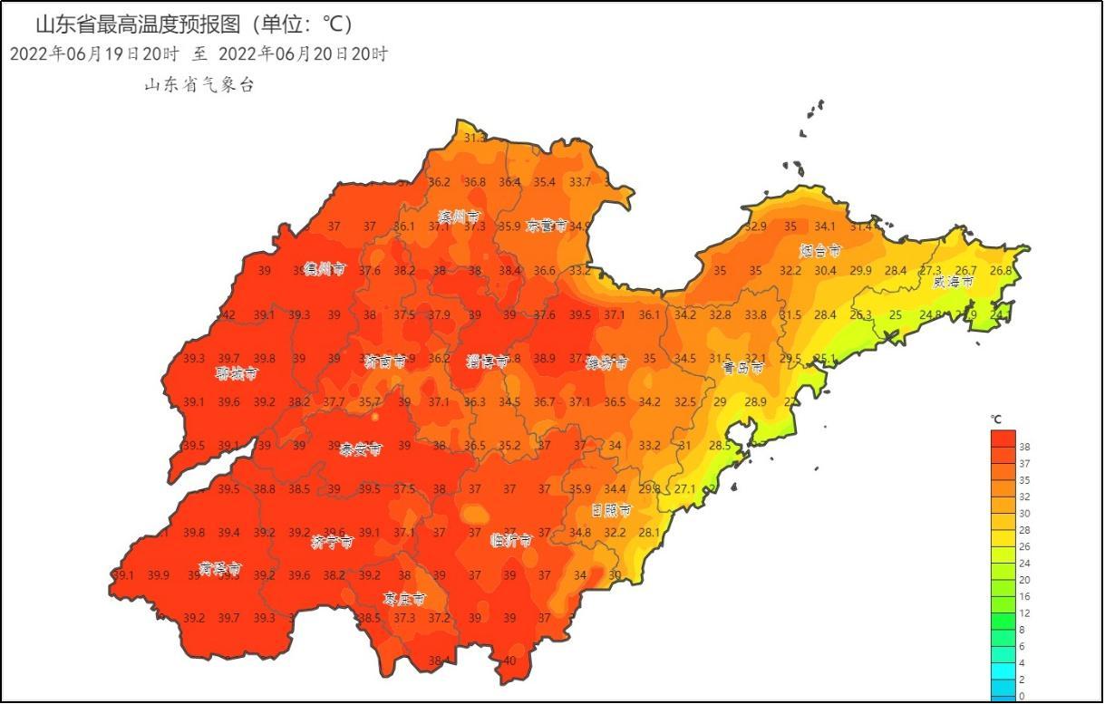 山东最新地图概览