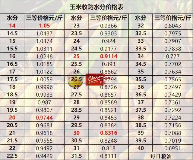 玉米价格走势分析，最新动态、市场趋势与未来展望