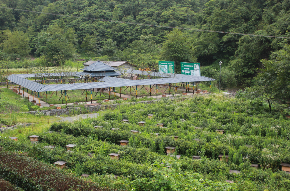 五峰土家族自治县发展和改革局领导团队概览