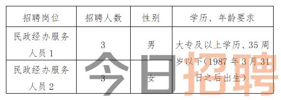 东源县民政局最新招聘信息全面解析