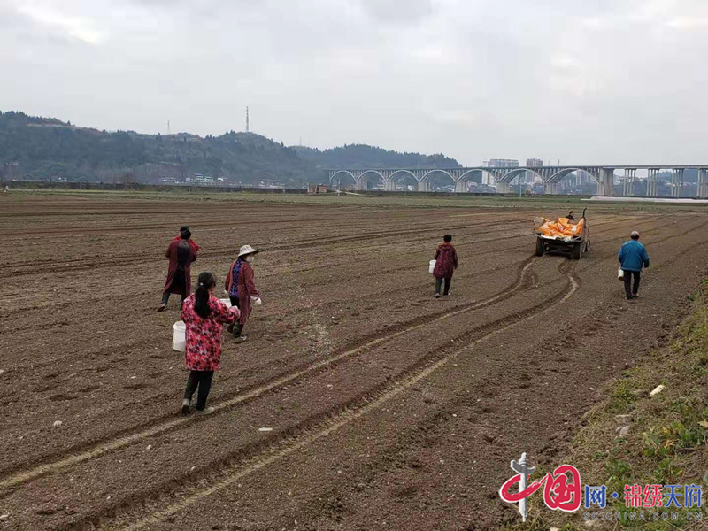 船山区农业农村局新项目推动农业现代化助力乡村振兴