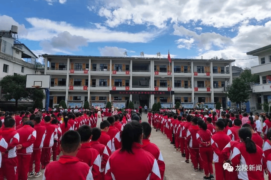 龙陵县小学最新招聘启事概览