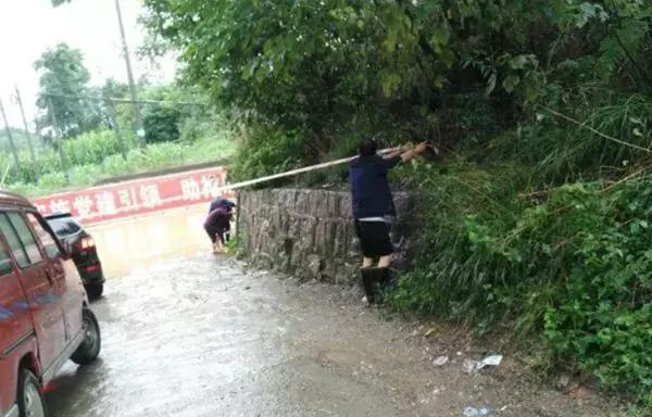 游仙区卫生健康局最新动态报道