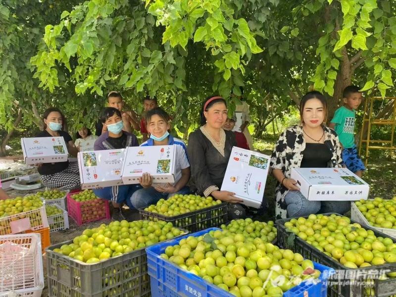 阿克苏地区市邮政局新任领导团队一览