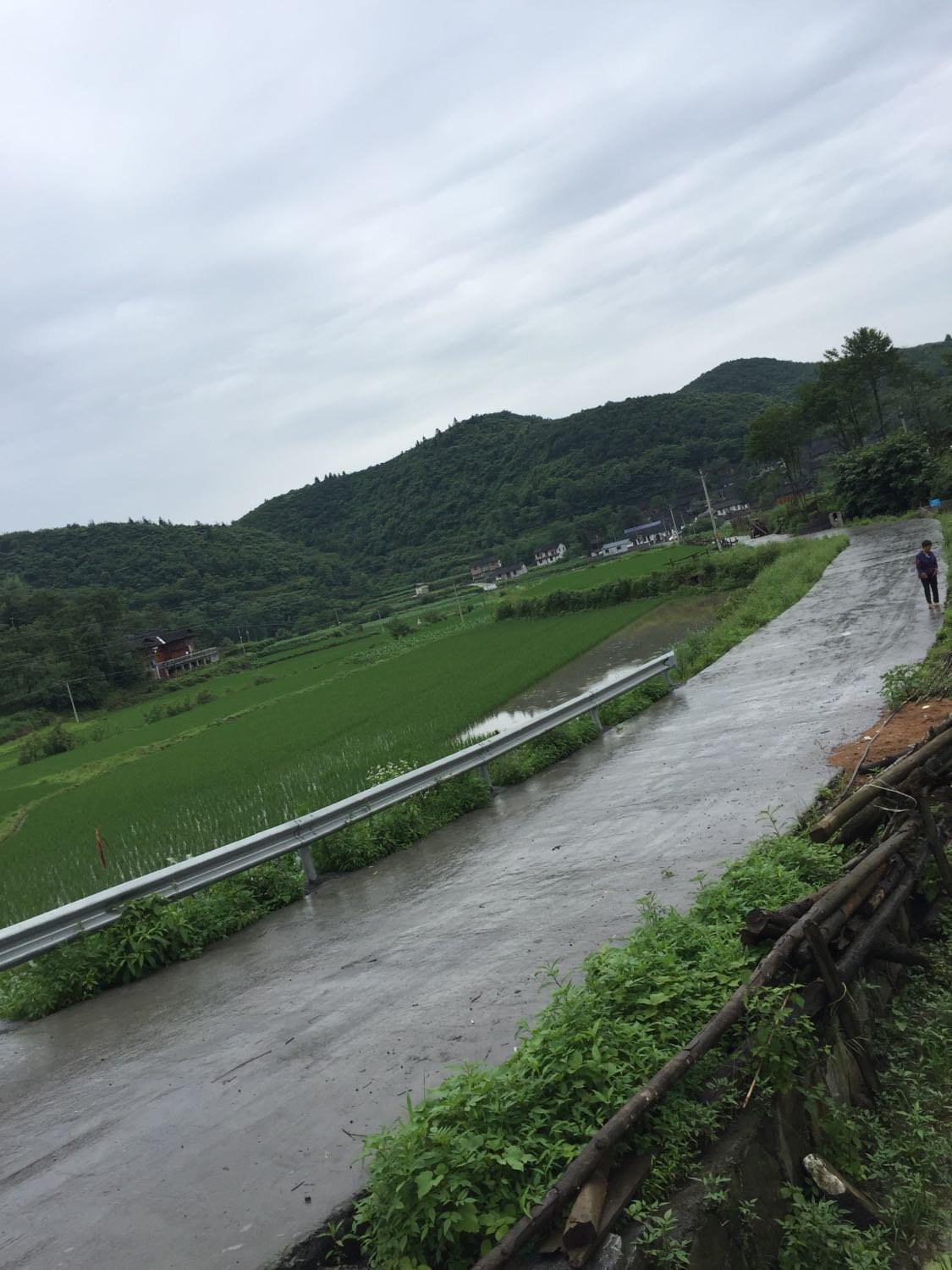 小岔口村民委员会天气预报更新通知