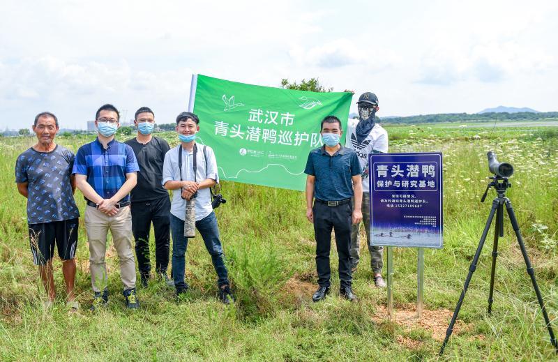 梁子湖区农业农村局最新动态报道