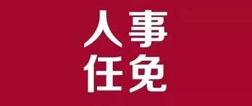 平湖市审计局人事任命完成，推动审计事业再上新台阶