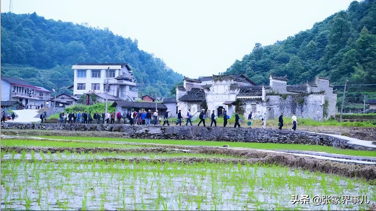 高坪镇交通建设蓬勃发展，社会经济快速增长的最新动态