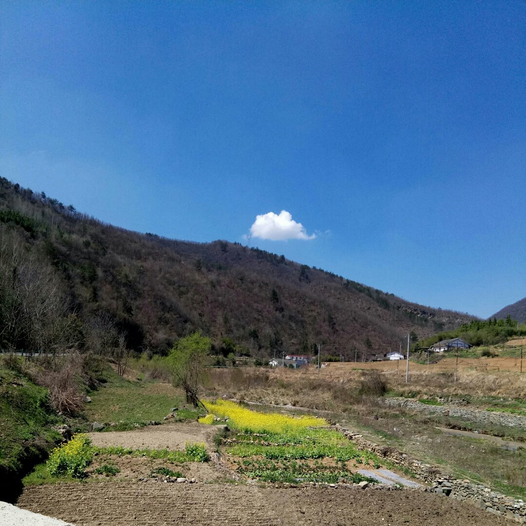 曾家镇天气预报更新通知