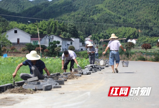 蕉溪乡新项目，引领乡村发展的强大动力源泉