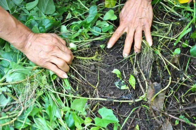 旌阳区农业农村局人事任命推动现代化进程至新高度