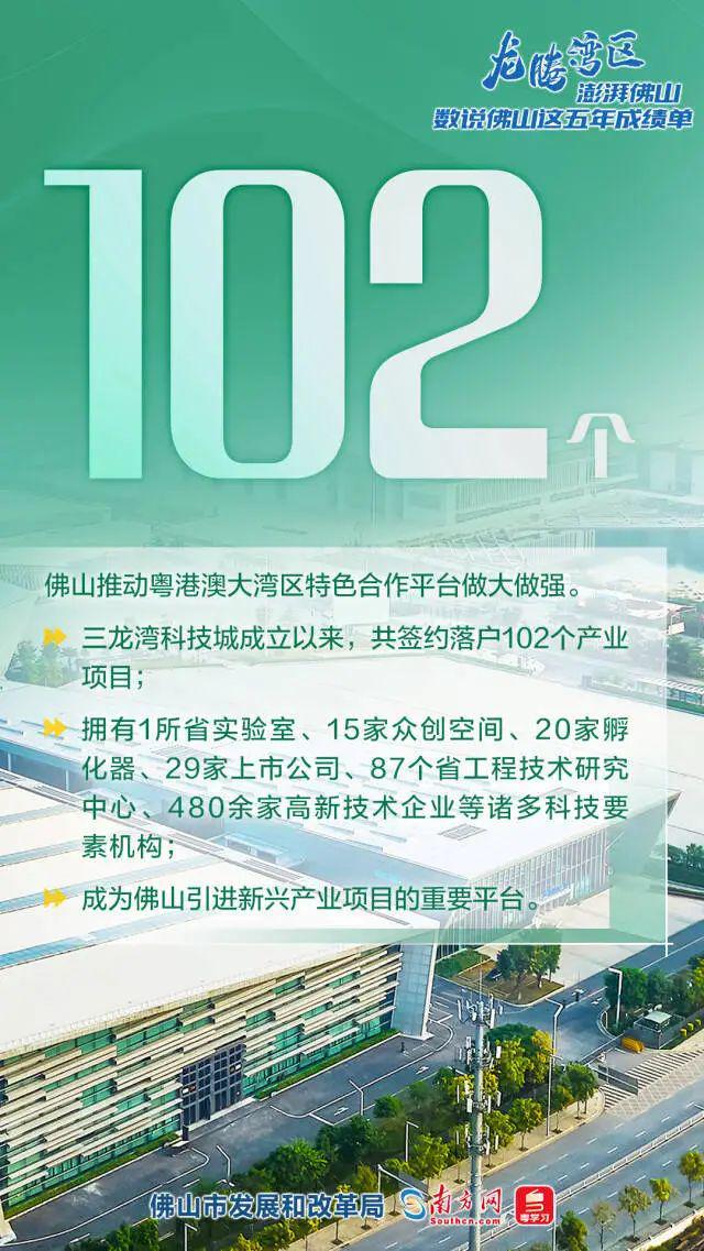 临漳县发展和改革局最新招聘信息全面解析