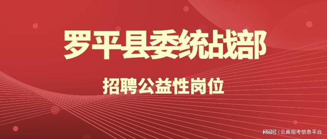 罗平镇最新招聘信息全面解析