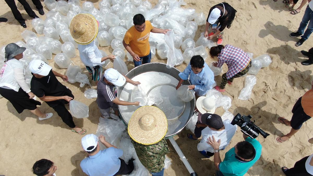 阳江市中级人民法院推动司法改革，服务市民生活最新项目启动