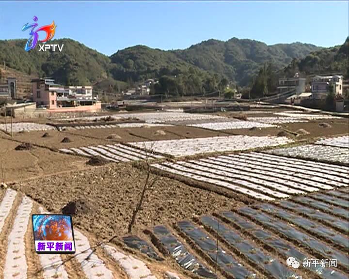 土高山乡未来新面貌塑造，最新发展规划揭晓