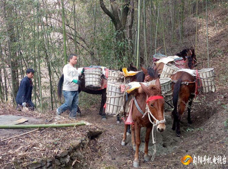 小河区水利局最新项目，推动区域水资源可持续利用的关键行动