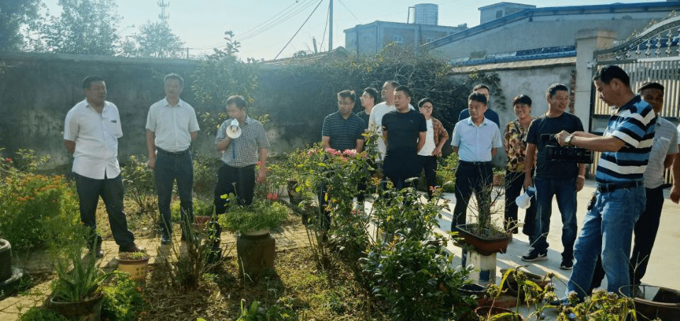 淝河乡乡村振兴与社区发展开启崭新篇章的最新新闻