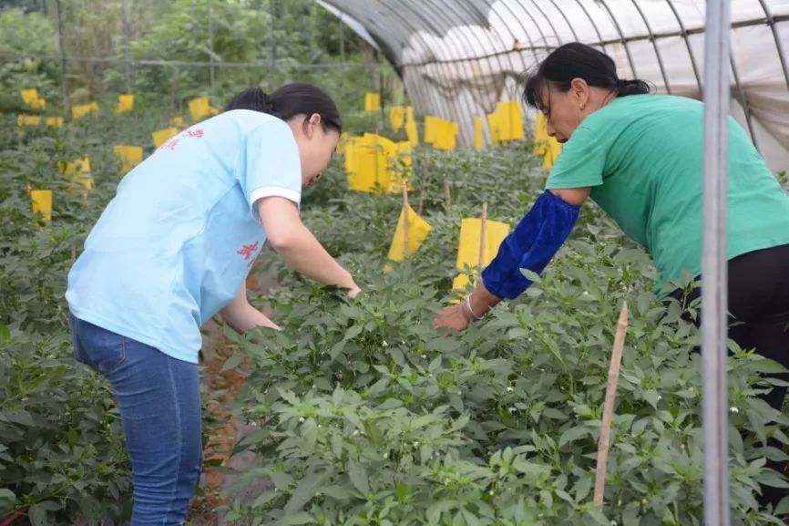 樟树市水利局新项目引领水利建设新篇章