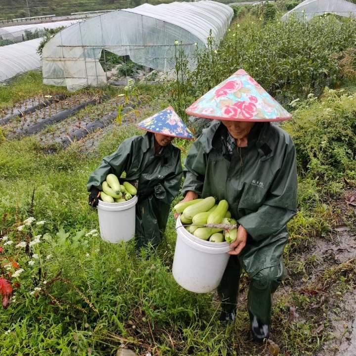 正大街道最新天气预报概览